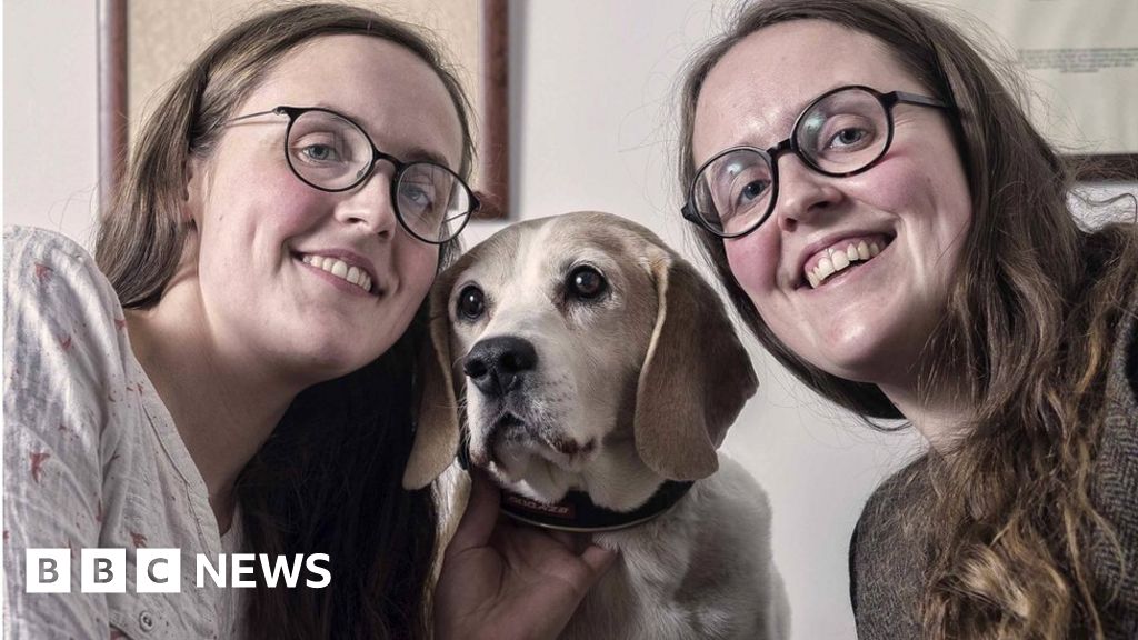 The Glasgow vets who prescribe mistletoe and mushrooms The Glasgow vets who prescribe mistletoe and mushrooms