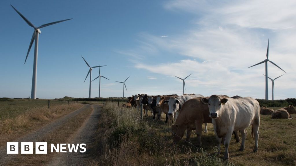The upcycled wind turbines getting a second life The upcycled wind turbines getting a second life