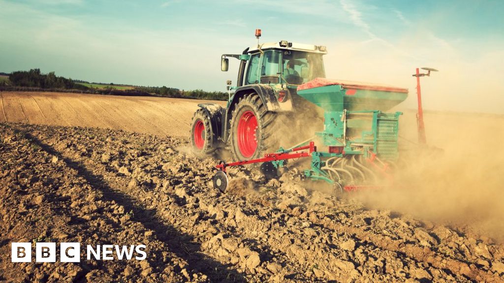 How the plough made the modern economy possible How the plough made the modern economy possible