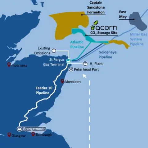 Acorn Acorn Project
