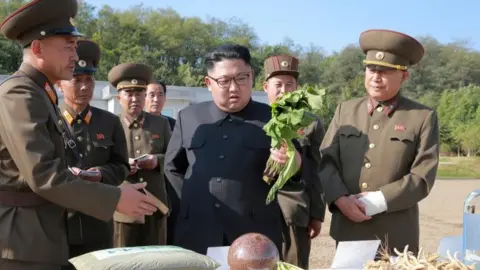 KCNA Kim Jong-un inspecting vegetables in Pyongyang (2017)