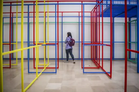 EPA Venice Biennale
