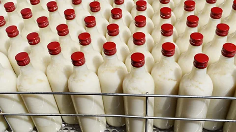 Krarte/Getty Images Fans of the drink claim it can positively impact everything from hair growth to weight loss (Credit: Krarte/Getty Images)