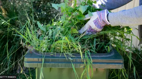 Getty Images Hands with gardening gloves placing grass and green cuttings in to a green wheelie bin