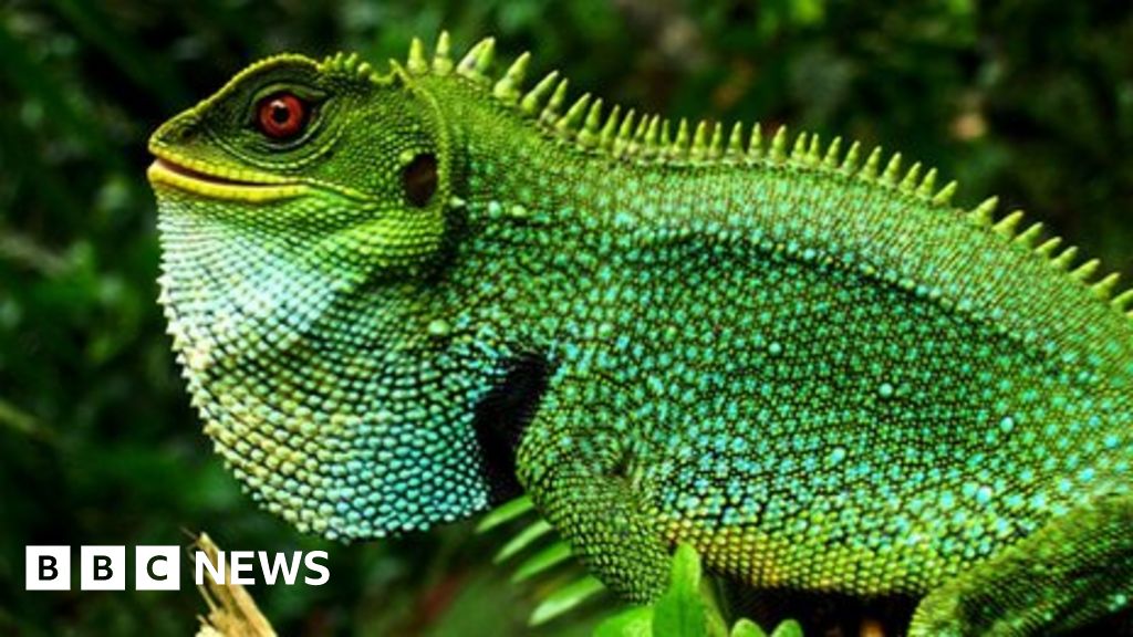 ‘Shocking’ human impact reported on world’s protected areas ‘Shocking’ human impact reported on world’s protected areas