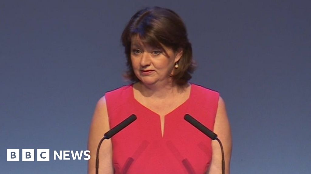 No-one in Wales is niche, says Plaid’s Leanne Wood to critics