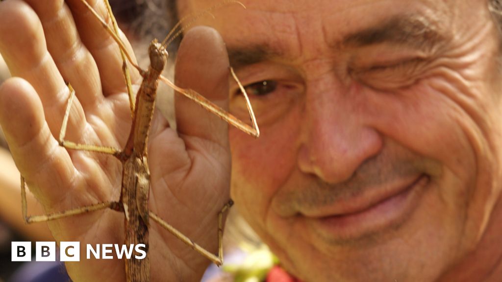 Georges Brossard, the man who stuck up for insects