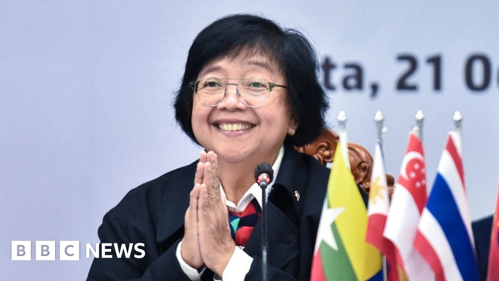 Indonesia criticises ‘unfair’ deal to end deforestation Indonesia criticises ‘unfair’ deal to end deforestation