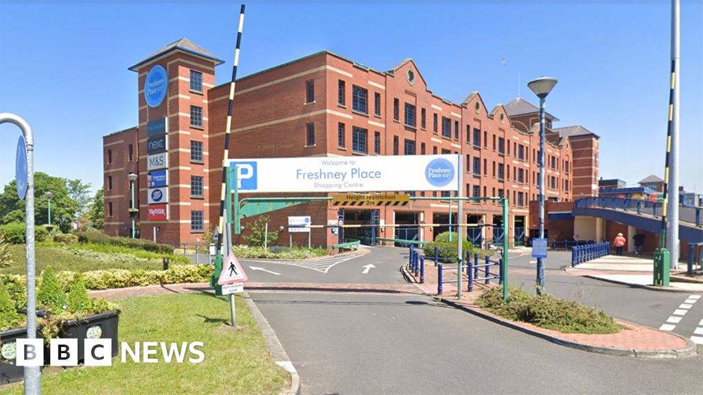 Senior councillors back plan to buy shopping centre