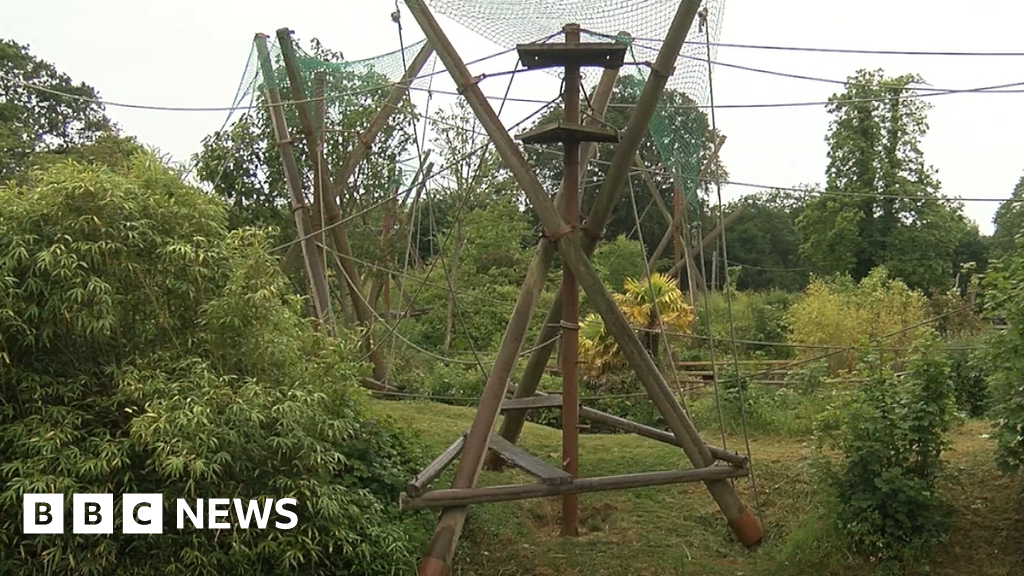 Concerns raised about running of Jersey Zoo Concerns raised about running of Jersey Zoo