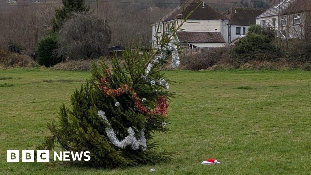 Pontypool council under fire for DIY tree plan Pontypool council under fire for DIY tree plan