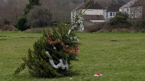 Giles Davies A Christmas tree can be seen in a field. It is leaning to one side suggesting it is close to being blown over or falling on its side. This is suggested by Councillor Giles Davies in the article that this is due to the tree being planted on an incline.