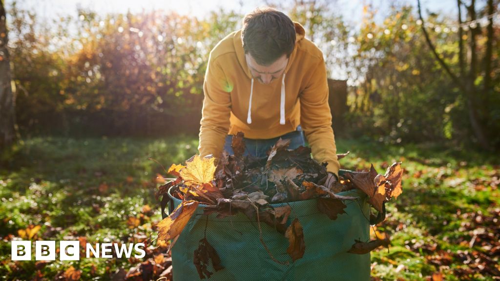 Thanet council launches leaf wheelie bin scheme Thanet council launches leaf wheelie bin scheme