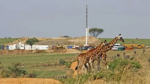 PAUL MULONDO/WCS Giraffes and oil rigs in Uganda