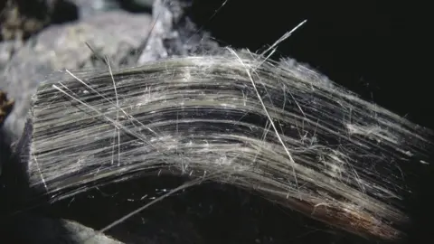 De Agostini Picture Library Asbestos fibres