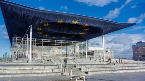 Getty Images Senedd