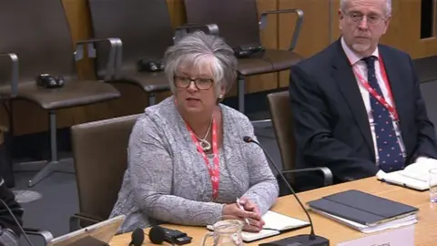 BBC Allison Williams and Prof Marcus Longley were questioned by AMs