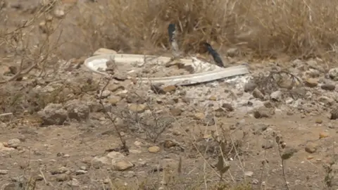 landmine