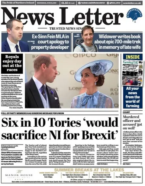 News Letter News Letter