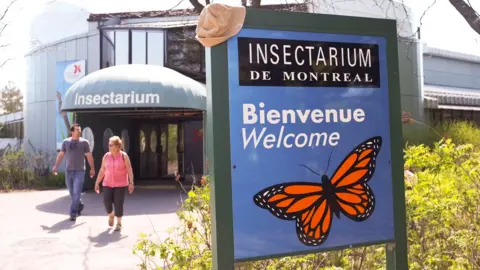 Alamy Insectarium of Montreal