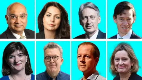 BBC Clockwise from top left: Keith Vaz, Heidi Allen, Philip Hammond, Rory Stewart, Amber Rudd, Nick Boles, Tom Watson and Nicky Morgan