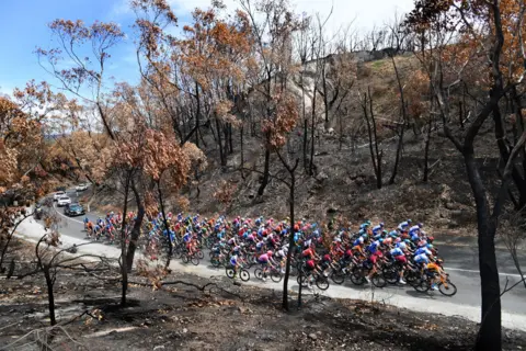 David Mariuz / EPA The peloton rides through a bushfire-damaged area in the Adelaide Hills during stage two of the Tour Down Under from Woodside to Stirling in South Australia.