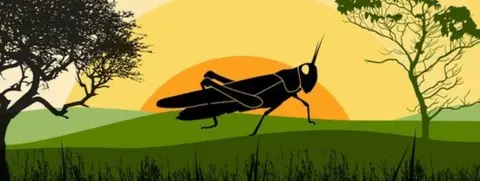 Illustration of a locust