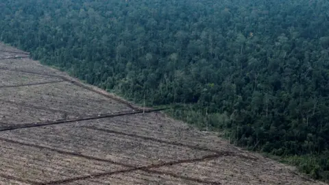 Reuters A view of deforestation on Indonesia's Sumatra Island