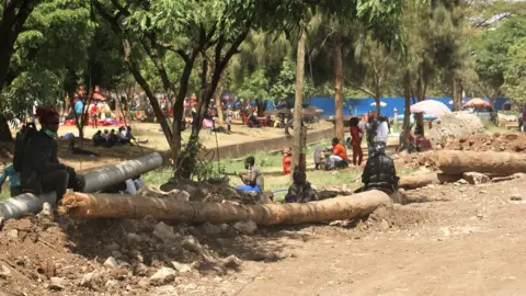 BBC/Peter Njoroge People sitting near felled trees in Nairobi, Kenya
