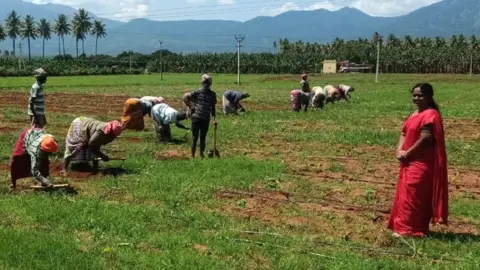 Desika Thiruvalan Desika Thiruvalan overseeing her farm, with a number of workers farming the rice paddy