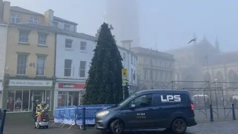 BBC Artificial tree being installed in 2022