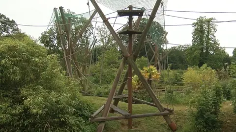 BBC An enclosure at Jersey Zoo