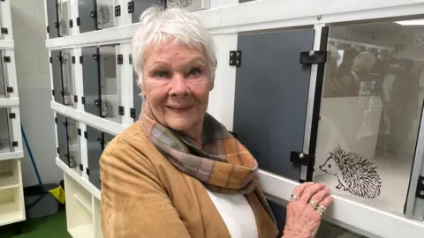 BBC Dame Judi