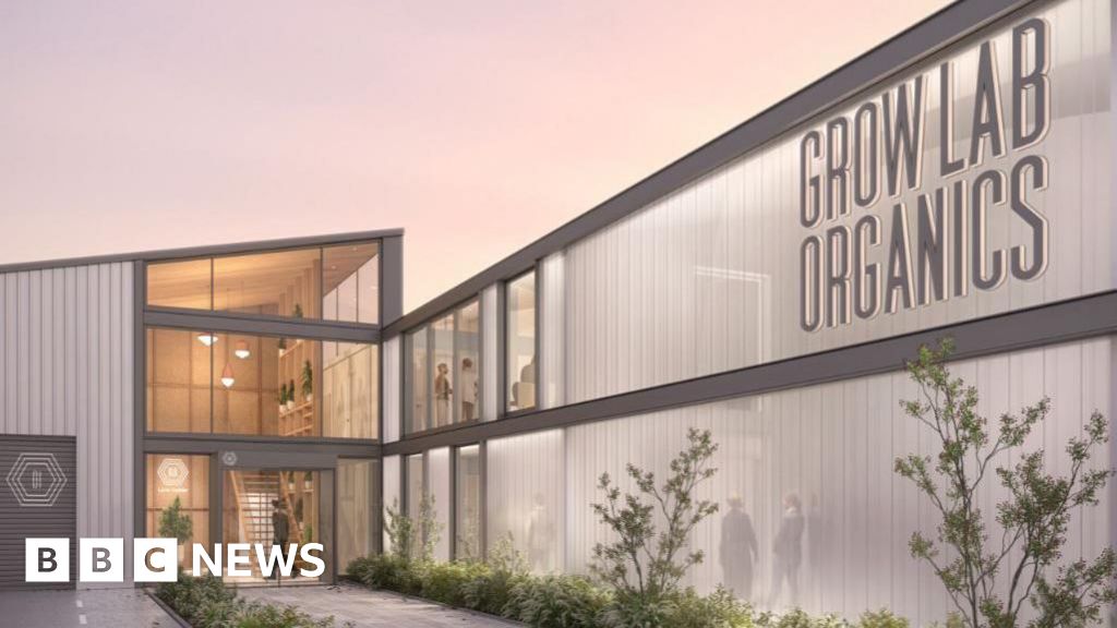 Manx cannabis cultivation to tap into ‘global sector’, firm says Manx cannabis cultivation to tap into ‘global sector’, firm says