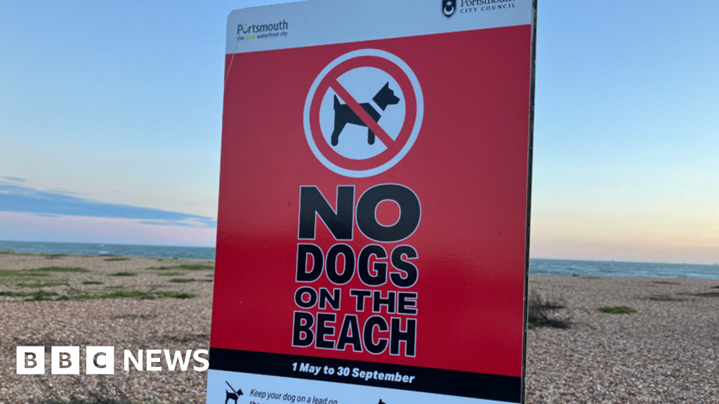 Portsmouth dog beach ban to remain as council fears ‘tensions’