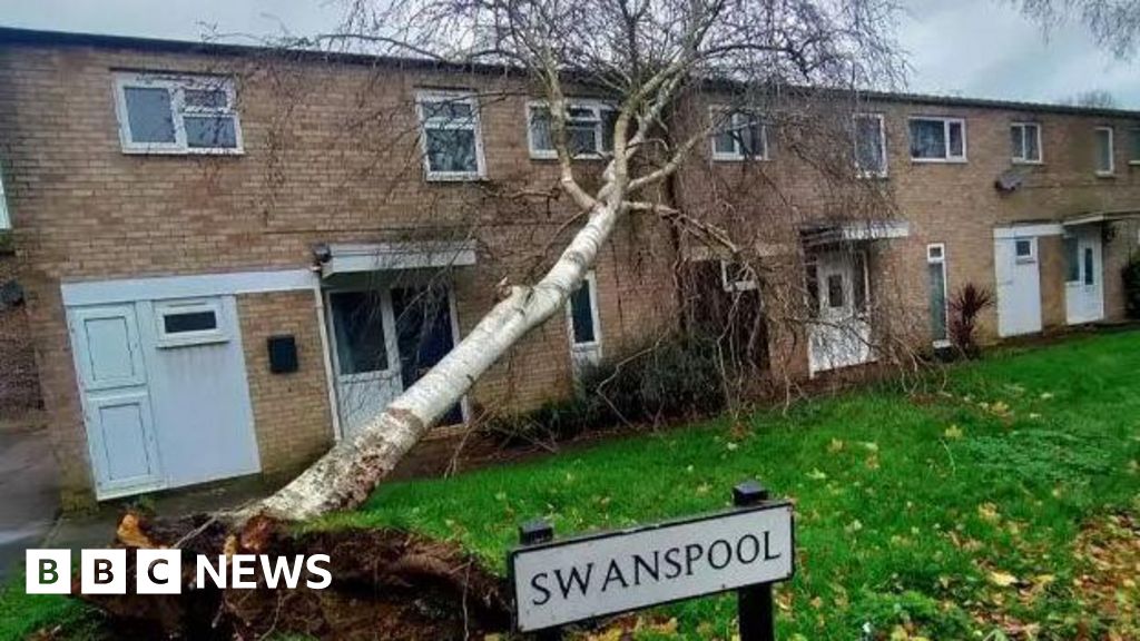 Five stories you might have missed Five stories you might have missed