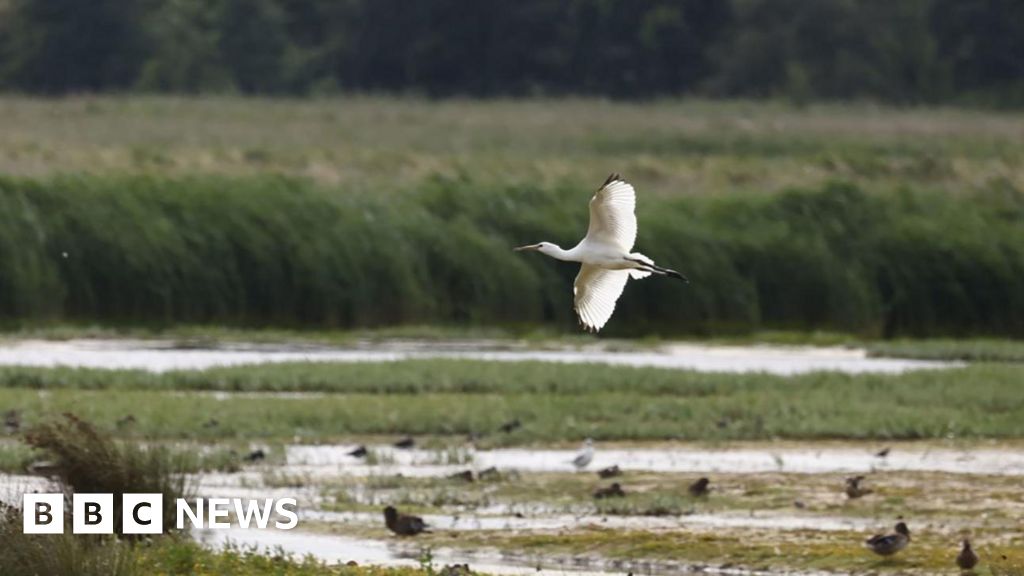 Norfolk nature festival to help young people ‘take the lead’