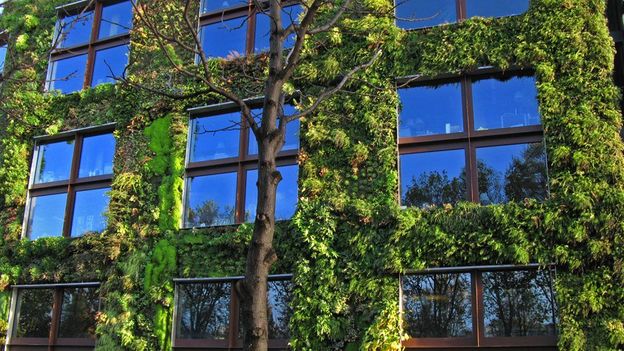 Why we need to bring nature back into cities