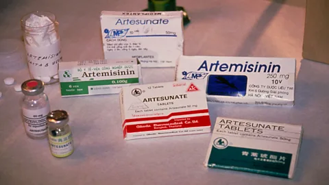 Artemisinin-based drugs are currently our best hope against malaria (Science Photo Library)