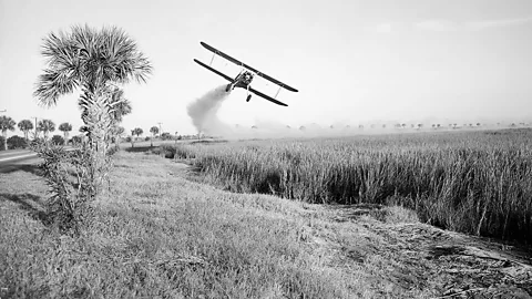 In the 1950s, DDT was tried and failed to halt the spread of malaria (Science Photo Library)