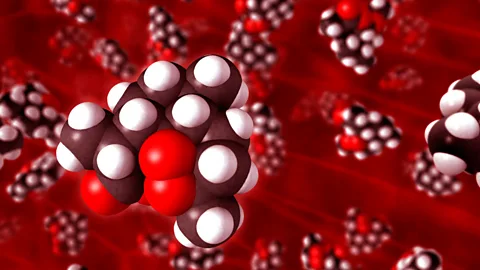 Artemisinin, derived from the sweet wormwood plant, is the main ingredient in the most effective malaria treatment (Science Photo Library)