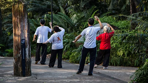 John S. Lander/Getty Images Public parks are plentiful in Singapore with residents using them to exercise outside (Credit: John S. Lander/Getty Images)
