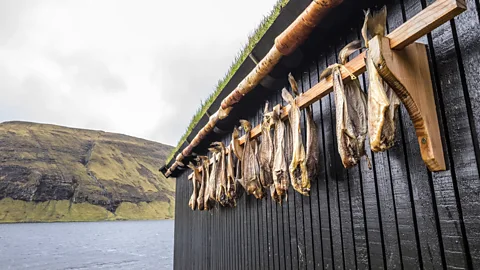 Nori Jemil A nod to the sea (Credit: Nori Jemil)