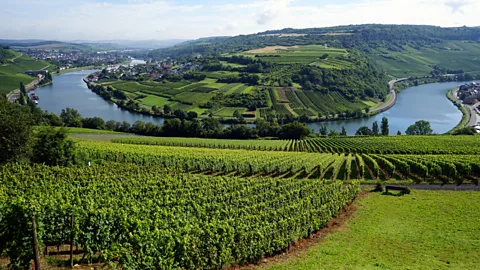 Valerii Shanin/Alamy Schengen is located in Luxembourg’s Moselle Valley, home to the country’s flourishing domestic wine industry (Credit: Valerii Shanin/Alamy)