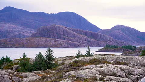 Anisha Shah (Credit: Anisha Shah)