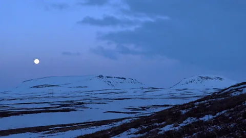 Werner Hoffmann (Credit: Werner Hoffmann)