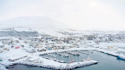 Werner Hoffmann (Credit: Werner Hoffmann)