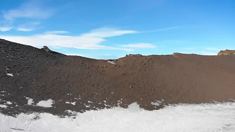 Werner Hoffmann (Credit: Werner Hoffmann)