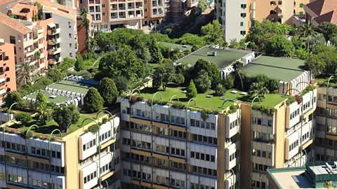 vuk8691/Getty Images Urban gardening has been reclaiming rooftops and concrete spaces throughout Monaco (Credit: vuk8691/Getty Images)