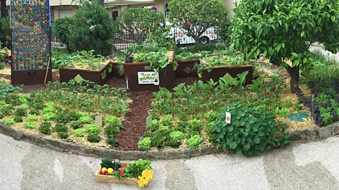 Terre de Monaco Terre de Monaco operates five micro farms in Monaco, including this 30 sq m plot at the Prince Albert II of Monaco Foundation (Credit: Terre de Monaco)
